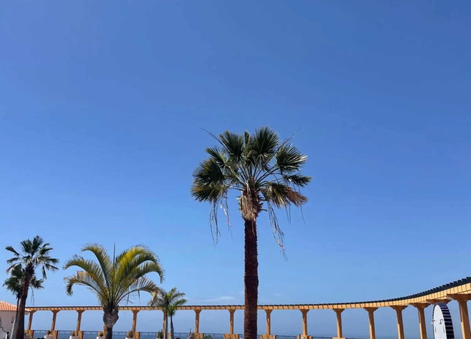 Апартаменты Casa Clara Ocean&Mountains View Адехе 0*,  Испания